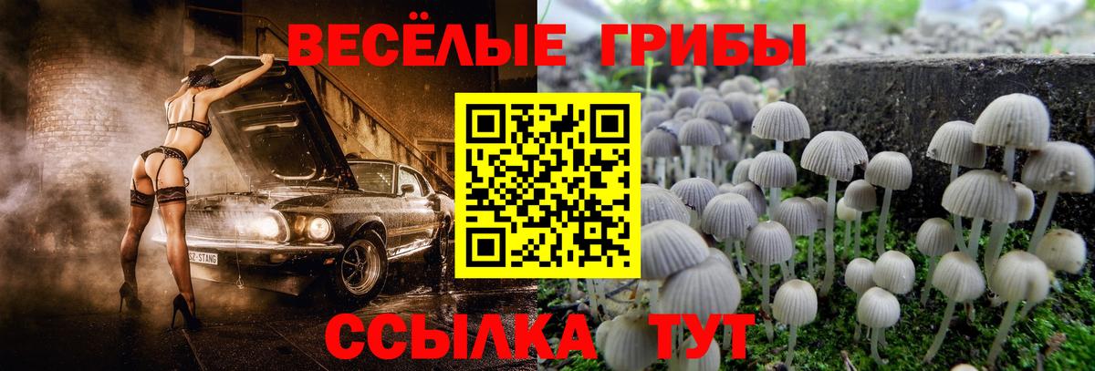 Галлюциногенные грибы прущие грибы  Вход с VPN  закладка  Галлюциногенные грибы GOLDEN TEACHER  Альметьевск 
